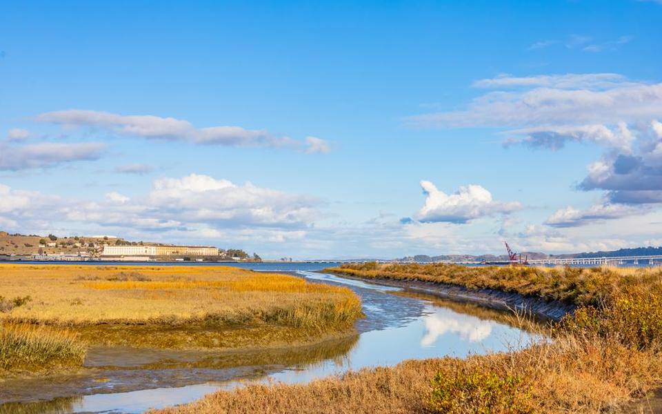 Sheltered Bays, Estuaries, and Coastal Inlets